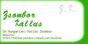 zsombor kallus business card